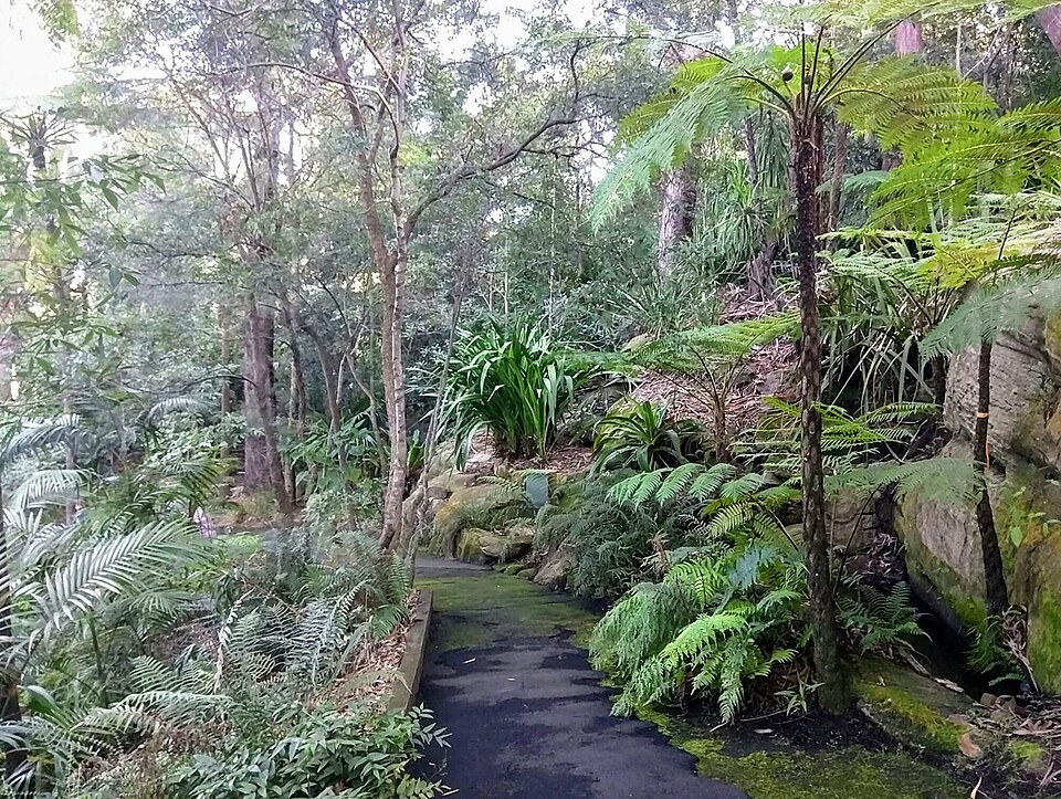 Joseph Banks Native Plants Reserve, Kareela（Australia）
