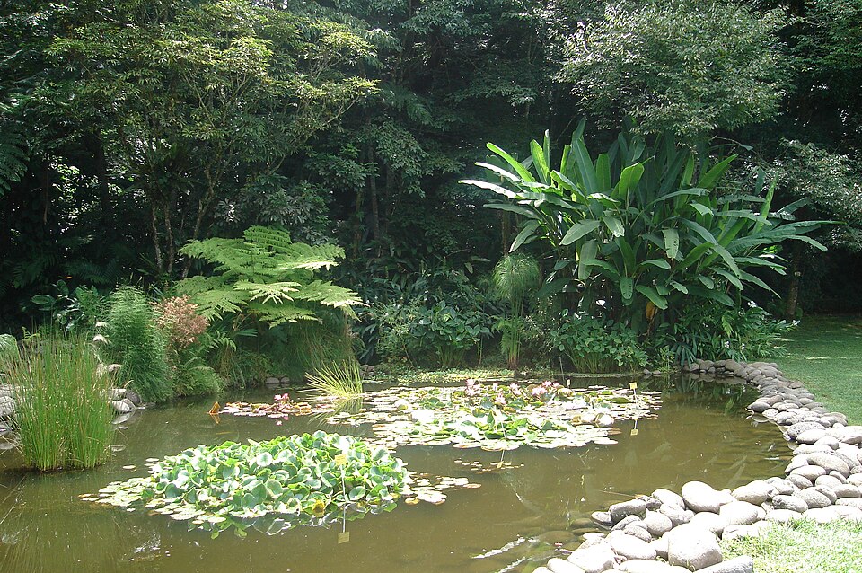 Jardín Botánico Francisco J. Clavijero（Mexico）
