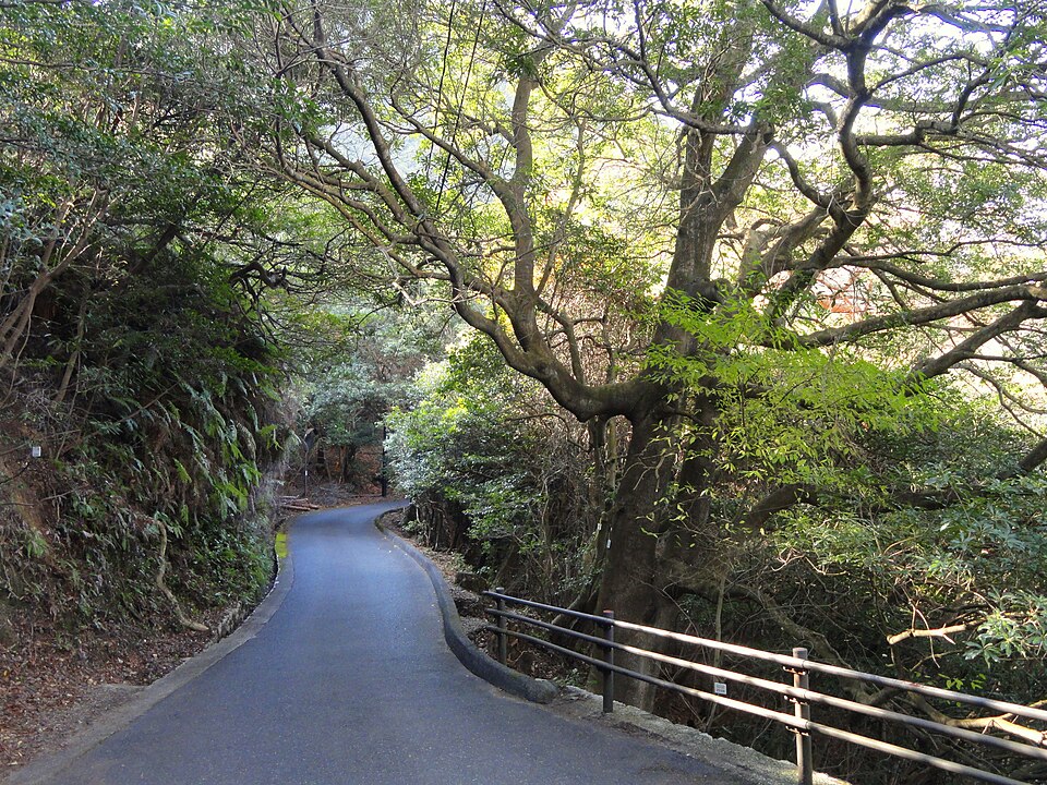 Miyajima Natural Botanical Garden（Japan）