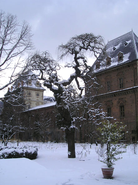 Orto Botanico dell'Università di Torino（Italy）