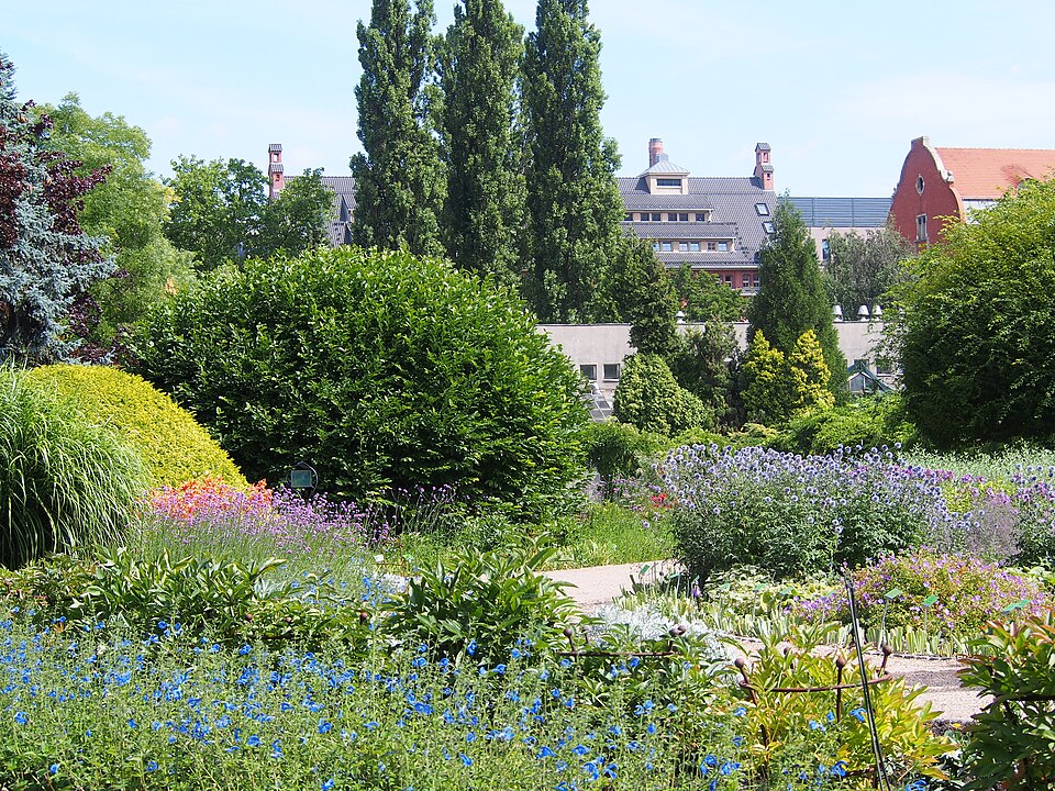 Wrocław University Botanical Garden（Poland）