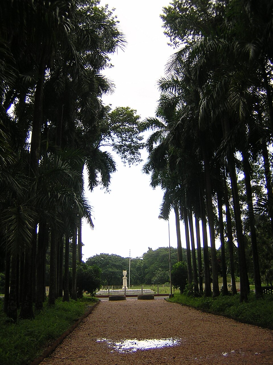 Acharya Jagadish Chandra Bose Indian Botanic Garden（India）