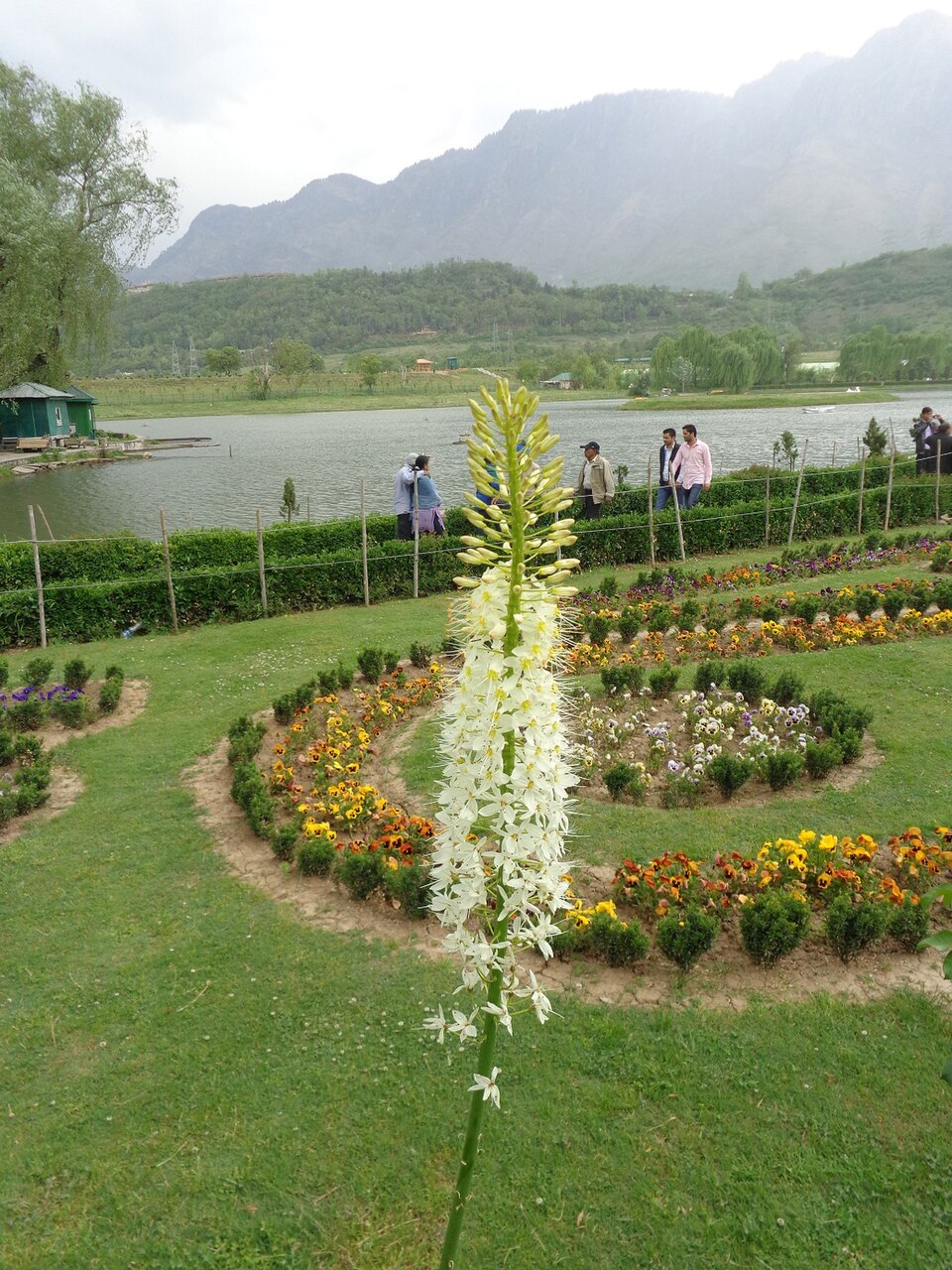 Jawaharlal Nehru Memorial Botanical Garden（India）