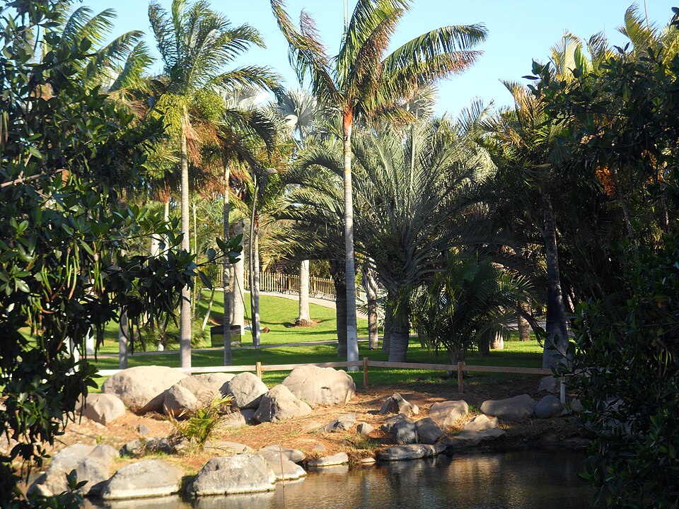 Palmetum of Santa Cruz de Tenerife（Spain）