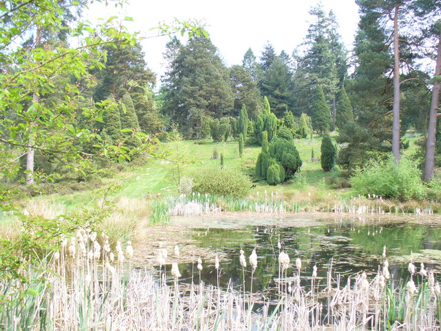 Bedgebury National Pinetum（United Kingdom）