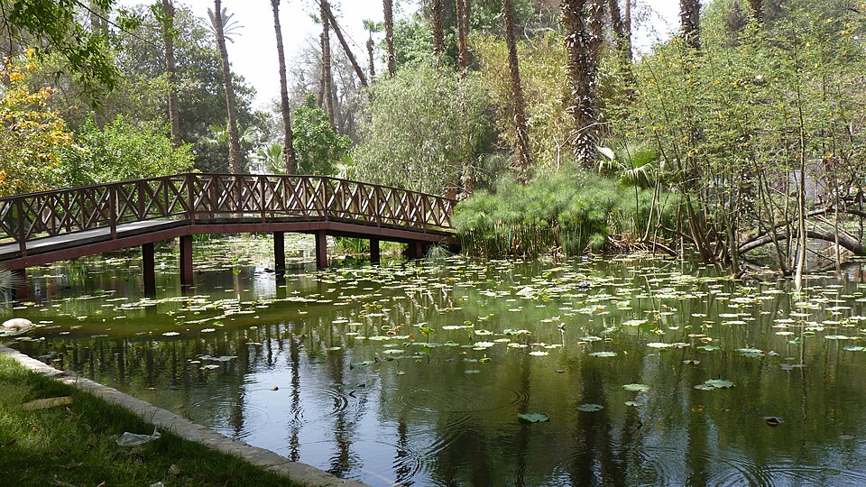 Orman Garden（Egypt）