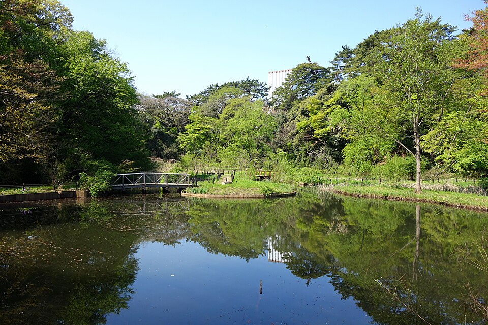 Institute for Nature Study（Japan）