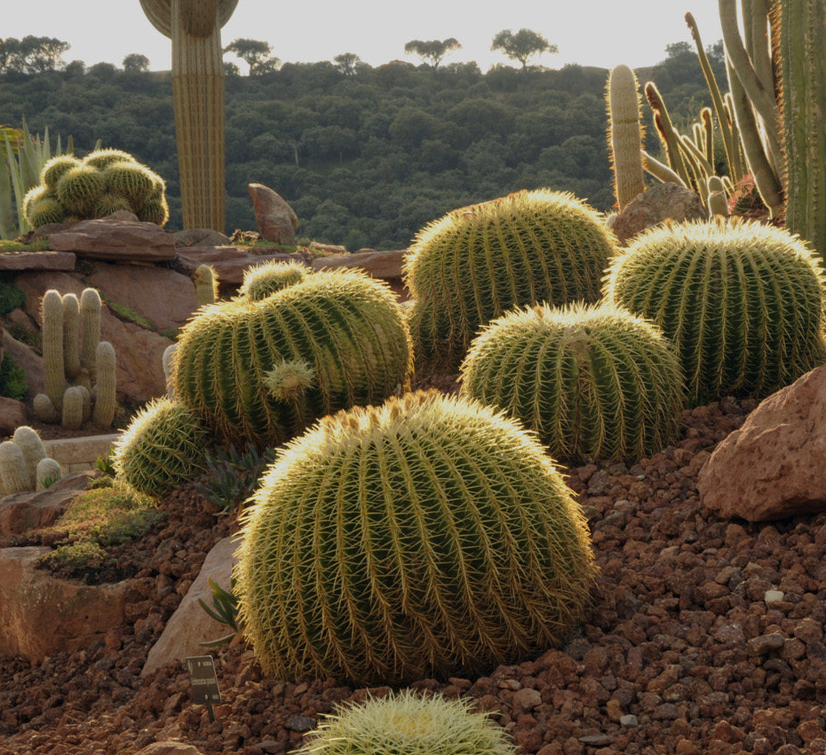 Desert City（Spain）