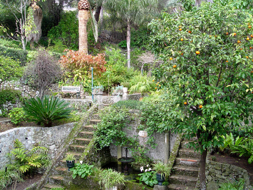 Gibraltar Botanic Gardens（United Kingdom）