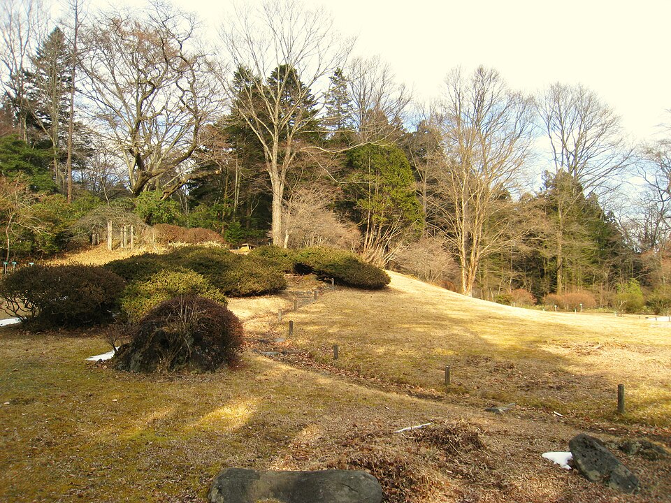 Nikko Botanical Garden（Japan）