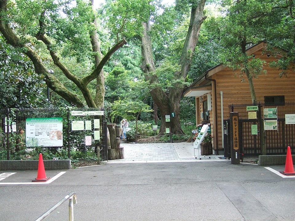 Aritaki Arboretum（Japan）