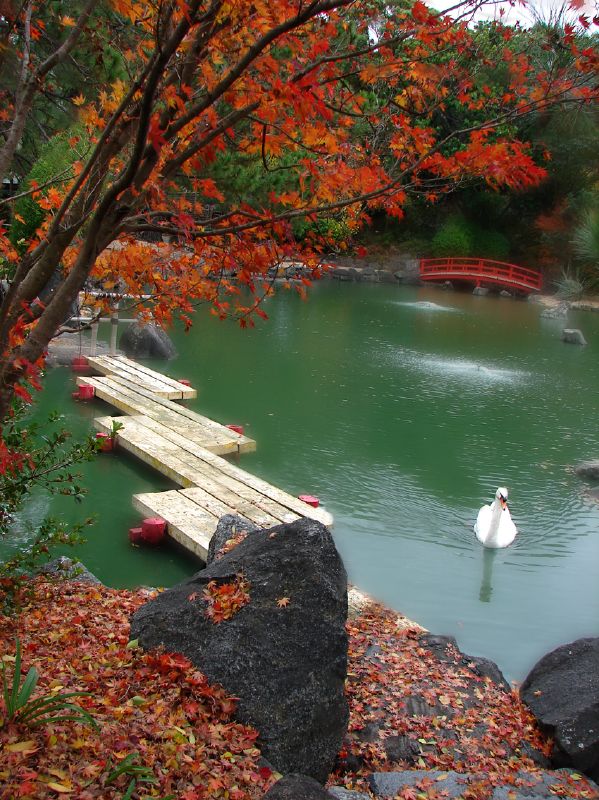 Auburn Botanical Gardens（Australia）