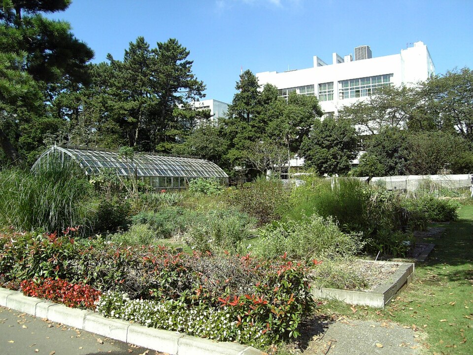 Toho University Faculty of Pharmaceutical Sciences Medicinal Botanical Garden（Japan）