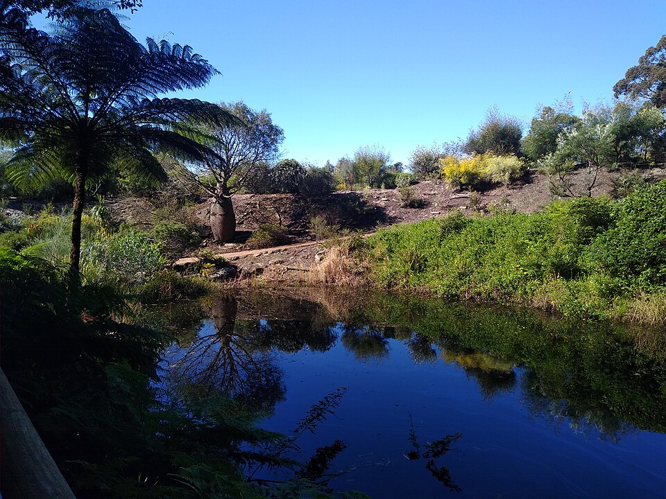 Illawarra Grevillea Park（Australia）