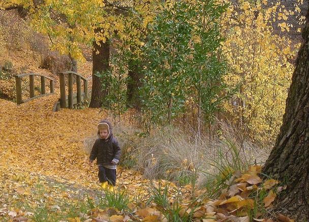 Kyneton Botanic Gardens（Australia）