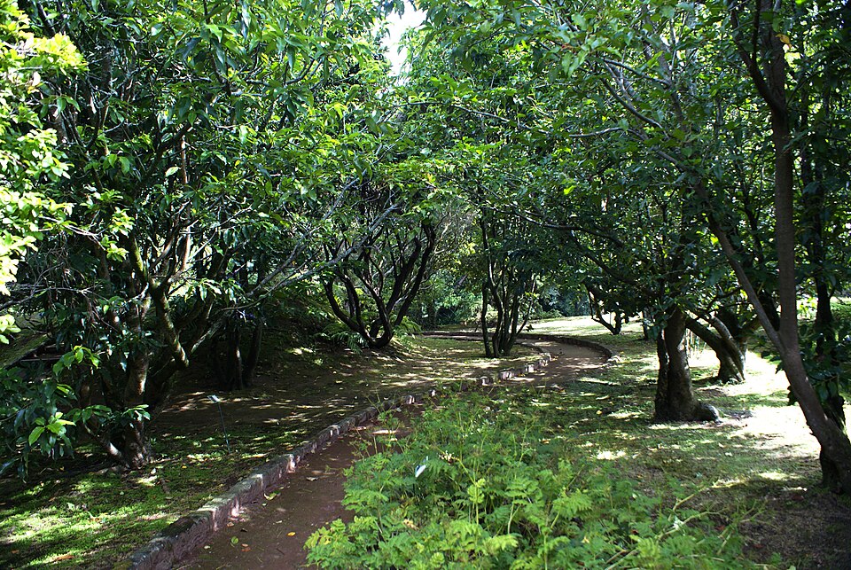 Botanical Garden of Faial（Portugal）