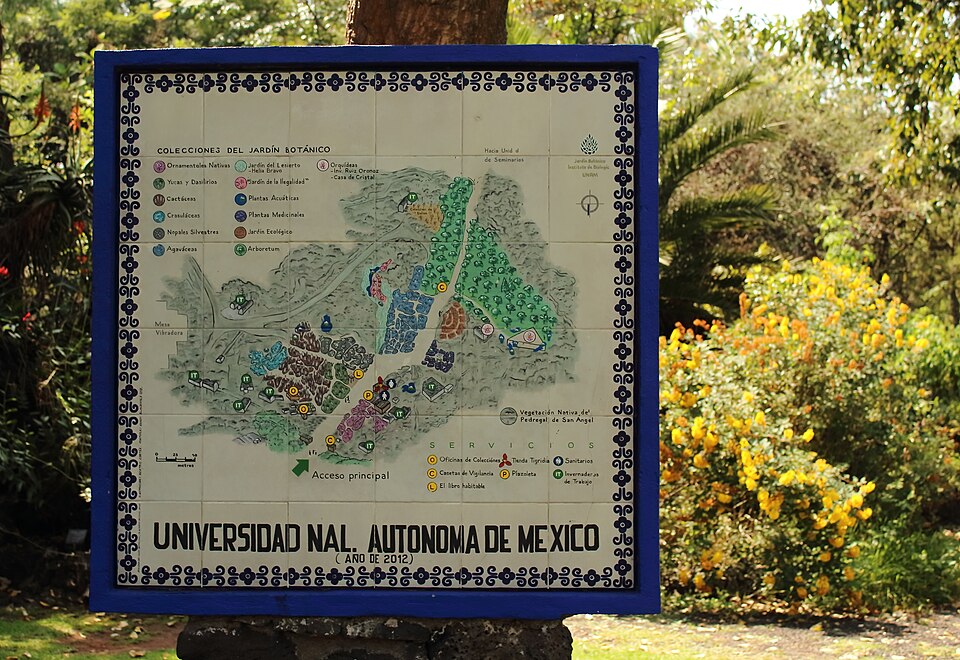 UNAM Botanical Garden（Mexico）