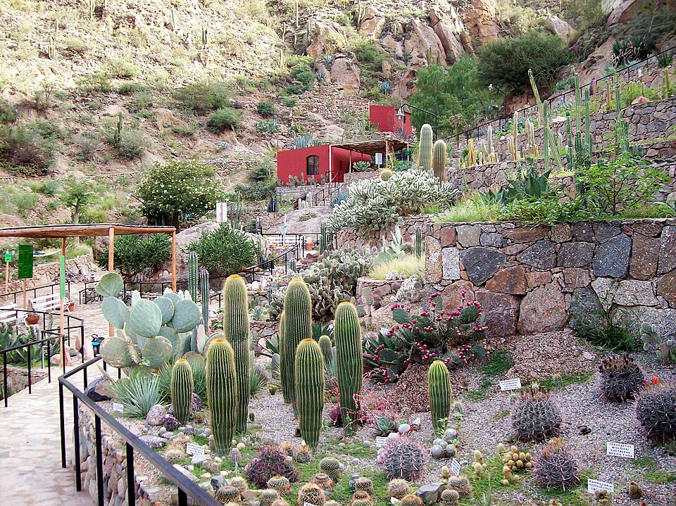 Chirau Mita Botanical Garden（Argentina）