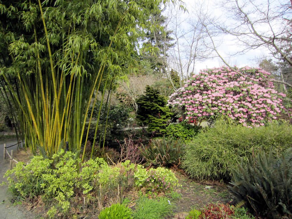Finnerty Gardens（Canada）