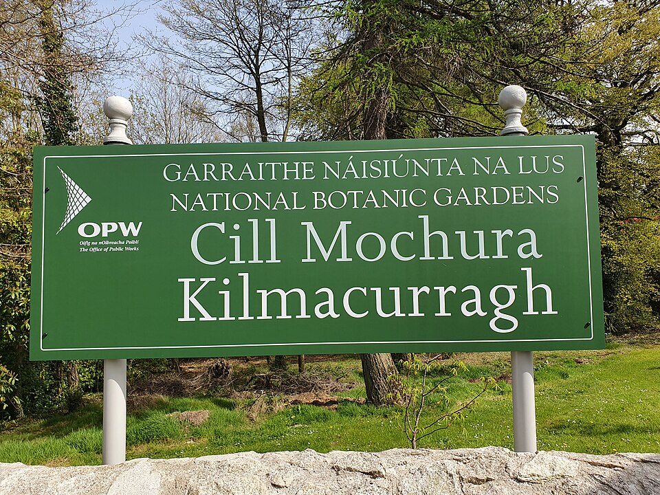 National Botanic Gardens Kilmacurragh（Ireland）