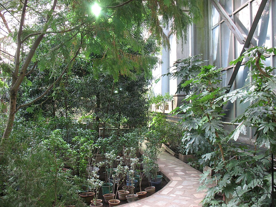 Siberian Botanic Garden（Russia）