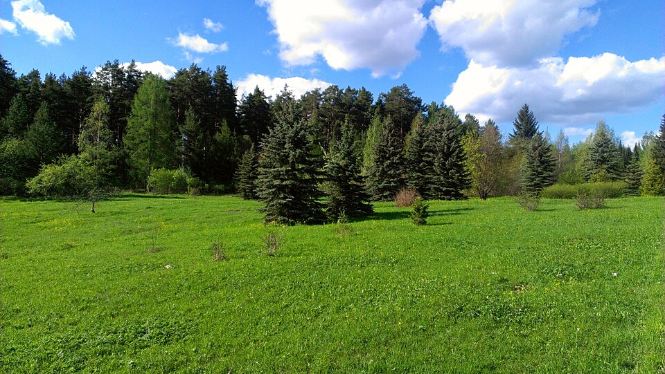 Botanical Garden (PetrSU)（Russia）