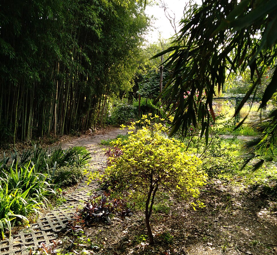 Jardín Botánico Lucien Hauman（Argentina）