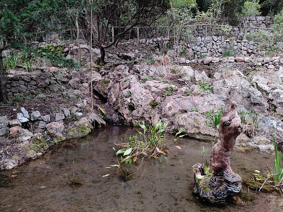 botanical garden of Lluc（Spain）