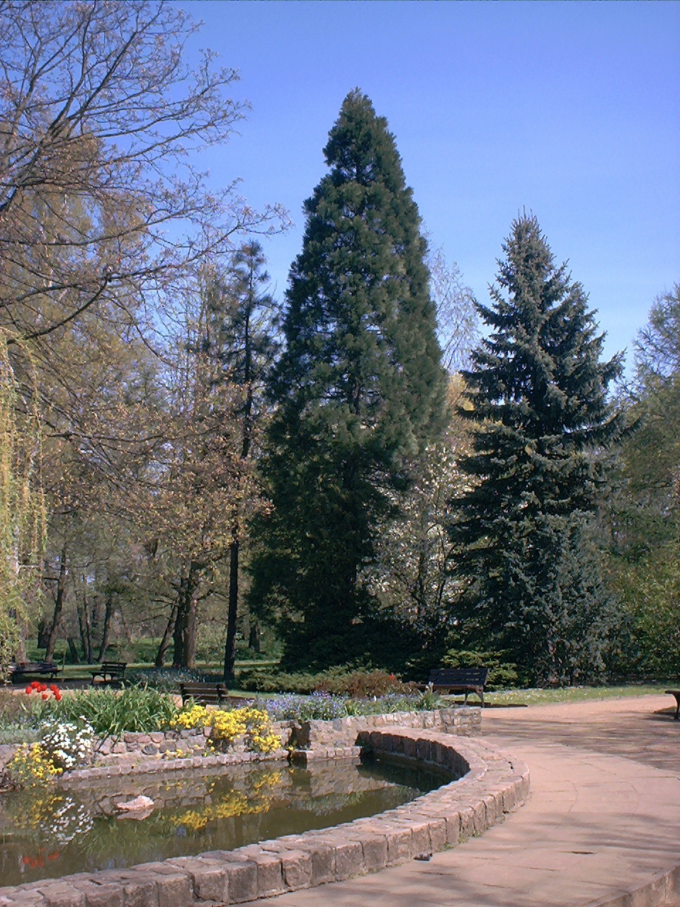 Botanical Garden in Gdańsk Oliwa（Poland）