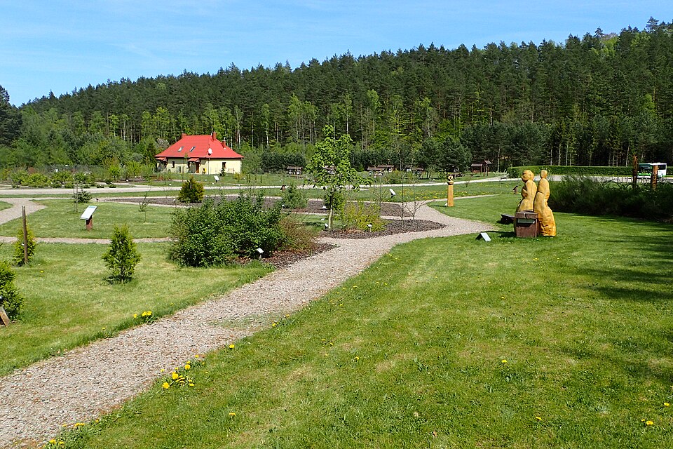 Forest Botanical Garden 'Marszewo'（Poland）