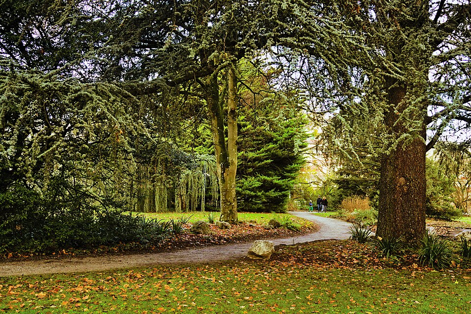 alpine botanical garden of Meyrin（Switzerland）