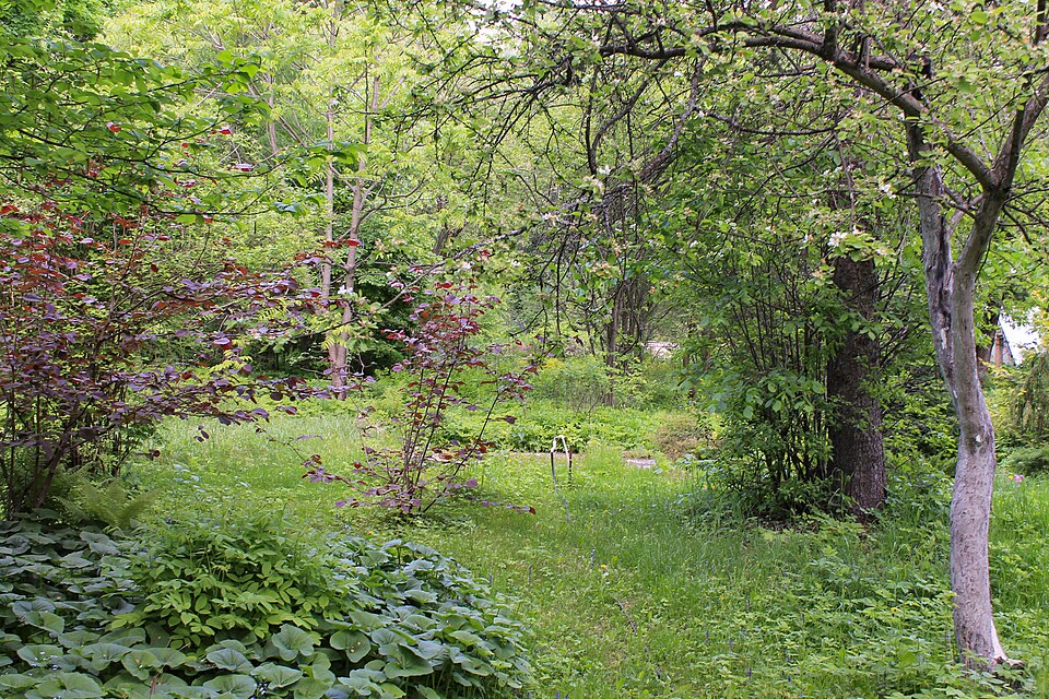 Botanical garden of Ivanovo State University（Russia）