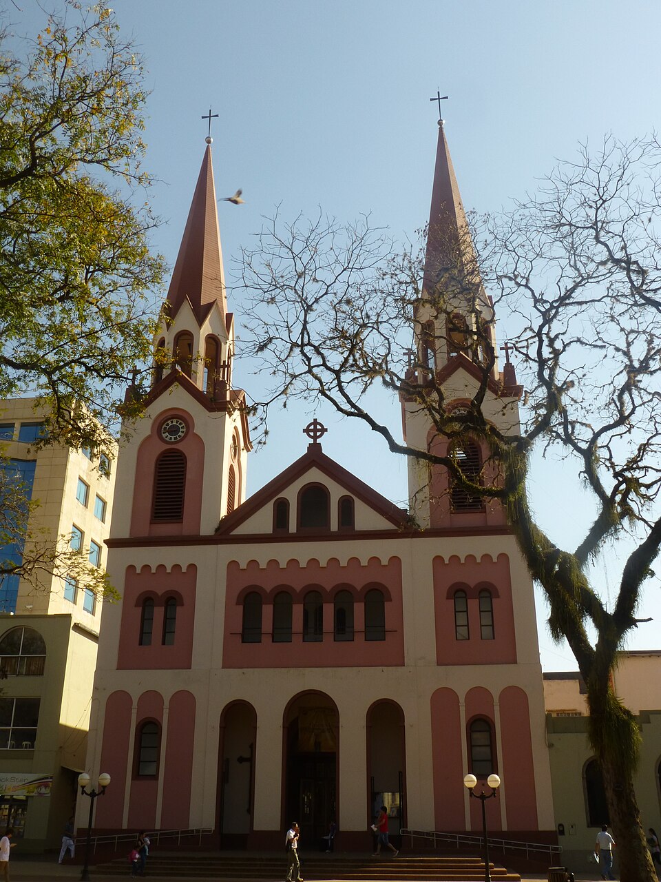 St. Joseph's Cathedral, Posadas（Argentina）