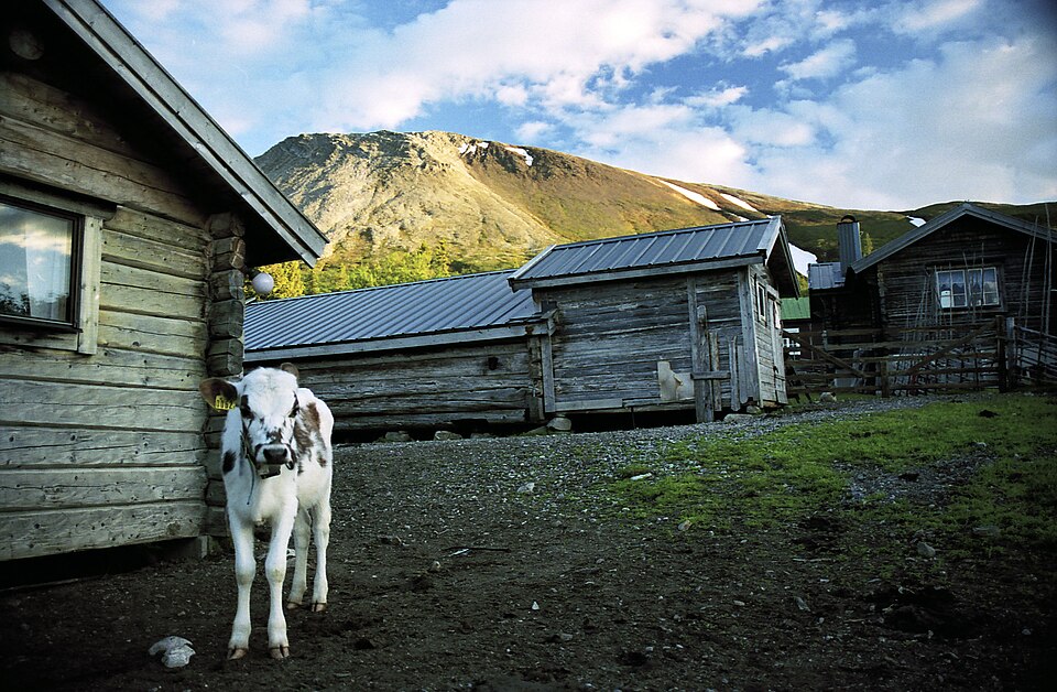 Sonfjället National Park（Sweden）