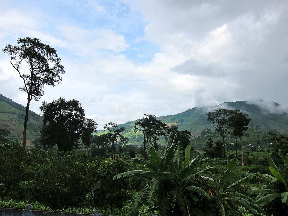 Phuoc Binh National Park（Vietnam）