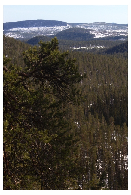 Björnlandet National Park（Sweden）