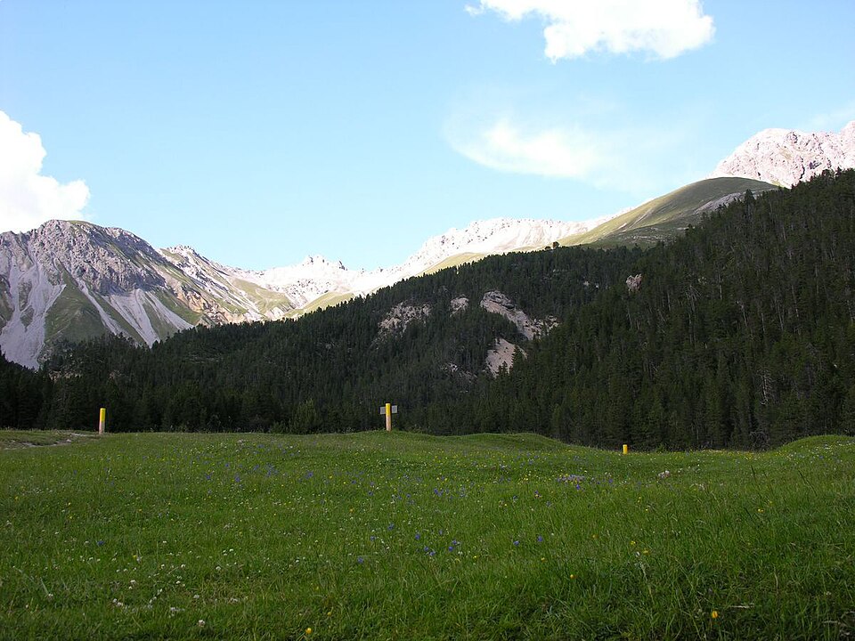Swiss National Park（Switzerland）