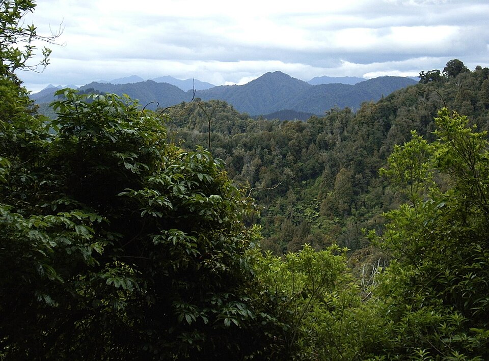 Te Urewera National Park（New Zealand）