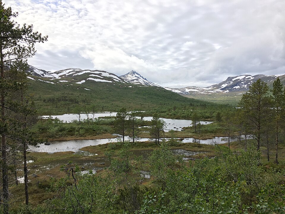 Ånderdalen National Park（Norway）