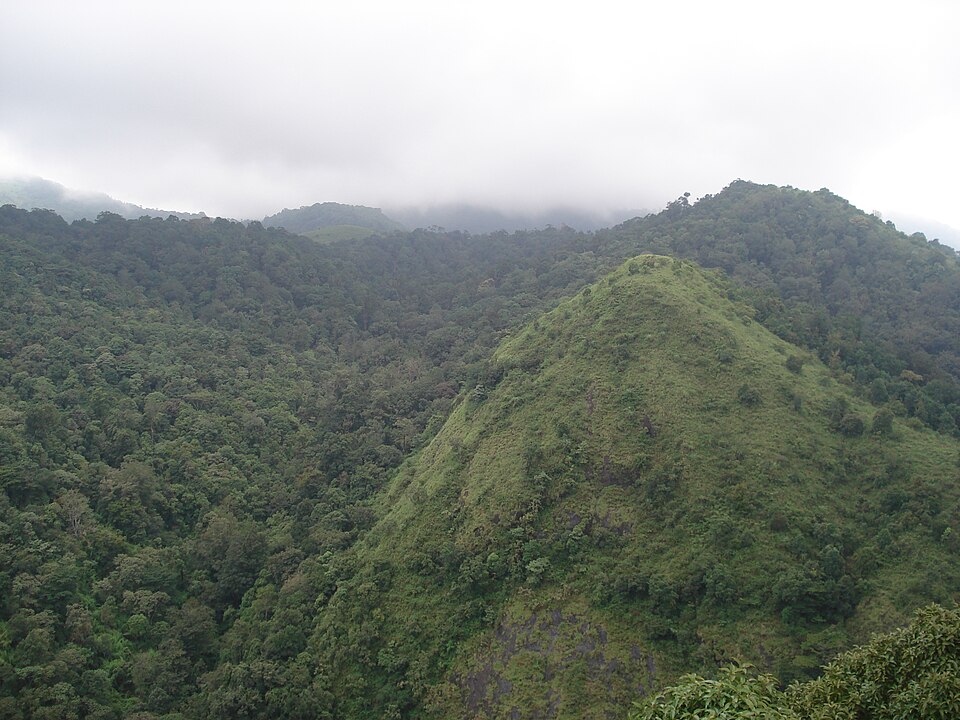 Silent Valley National Park（India）