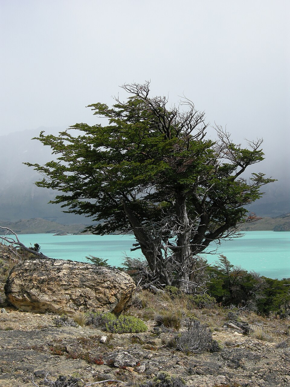 Perito Moreno National Park（Argentina）