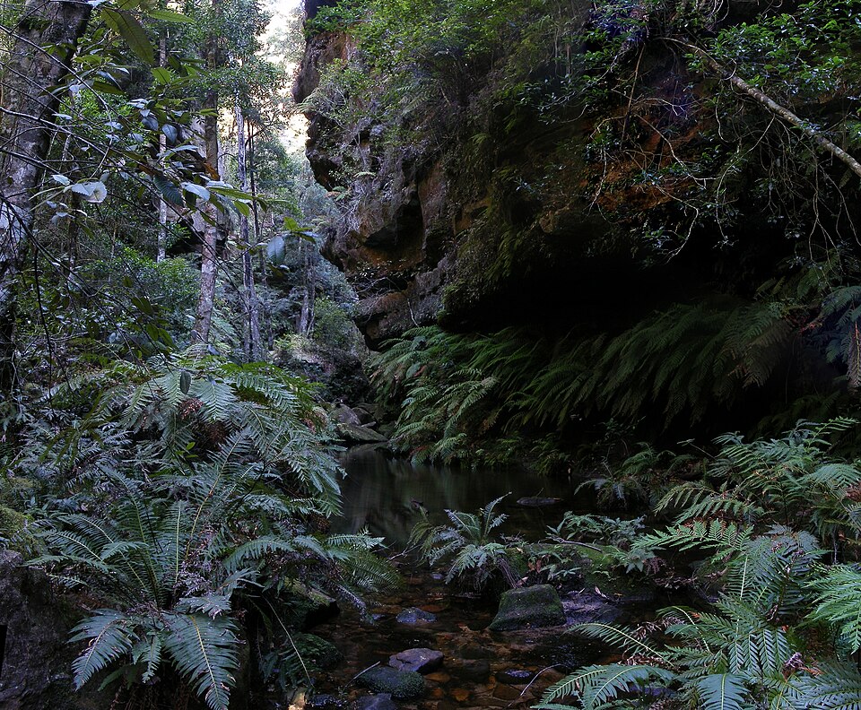 Blue Mountains National Park（Australia）