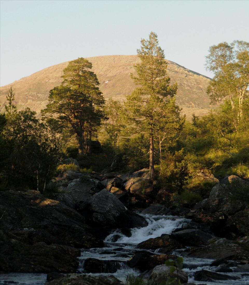 Blåfjella–Skjækerfjella National Park（Norway）