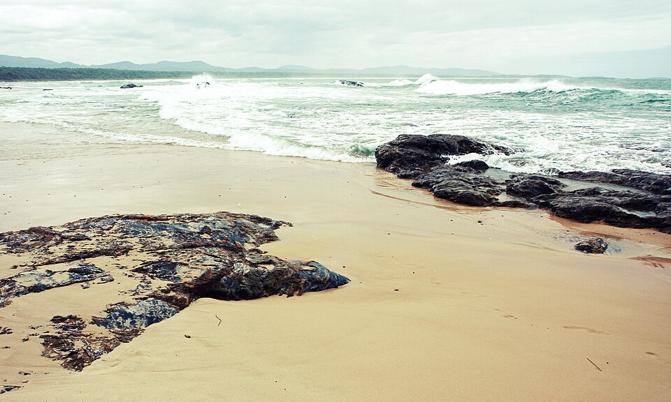 Bongil Bongil National Park（Australia）