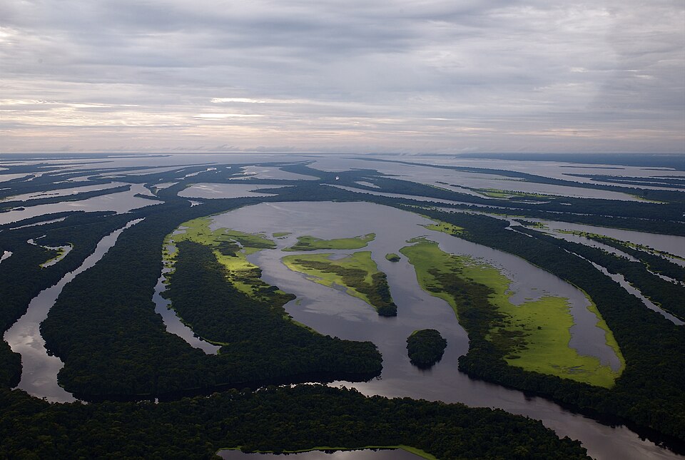 Anavilhanas National Park（Brazil）