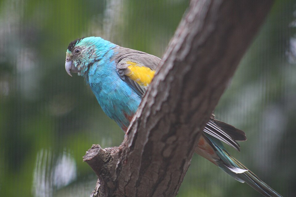 Staaten River National Park（Australia）