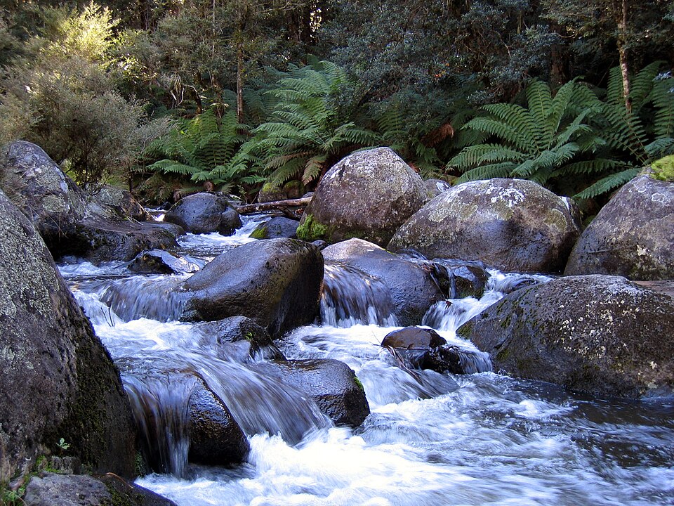 Barrington Tops National Park（Australia）