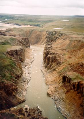 Tuktut Nogait National Park（Canada）