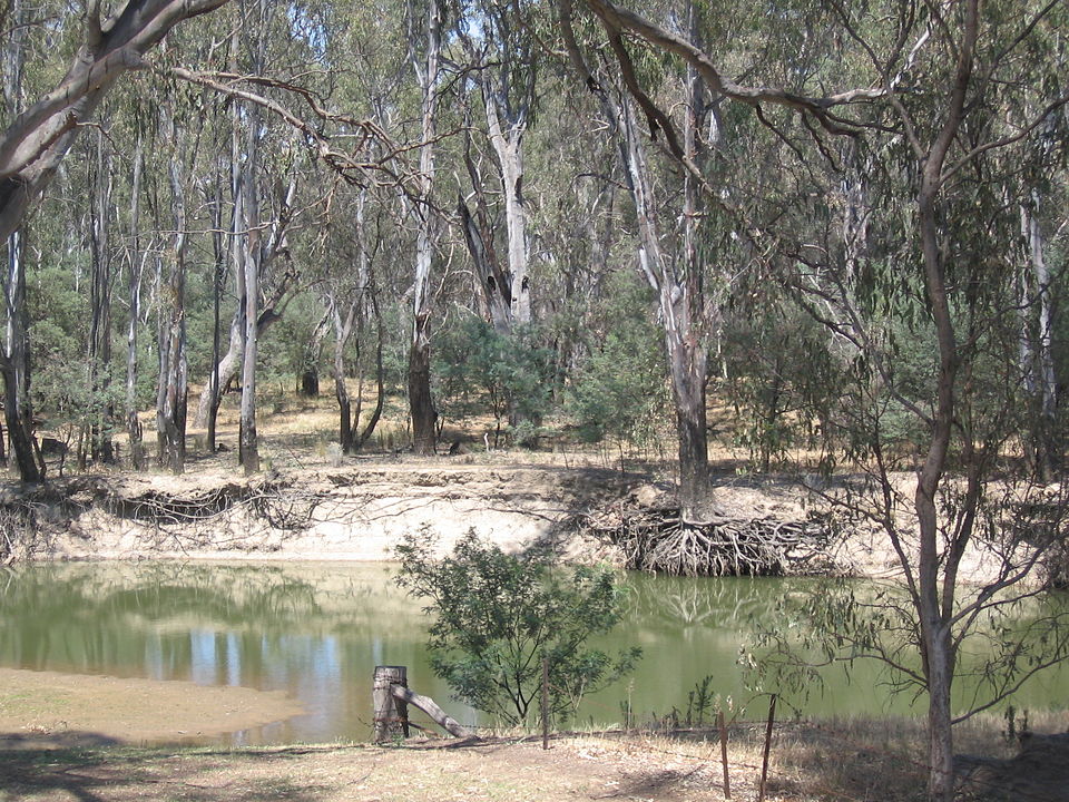 Murray Valley National Park（Australia）