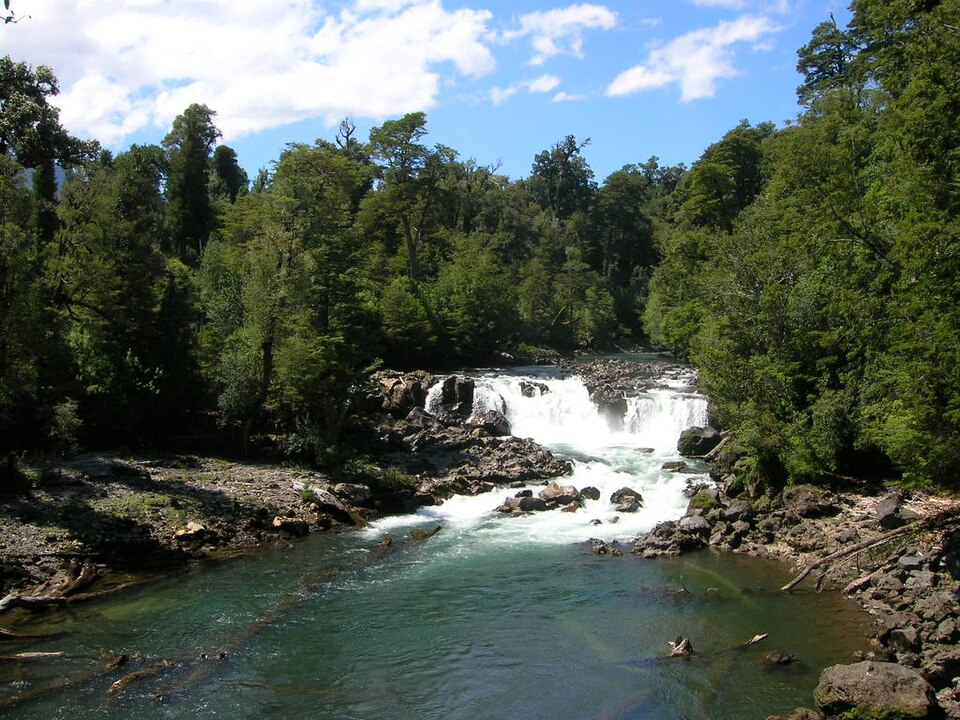 Puyehue National Park（Chile）